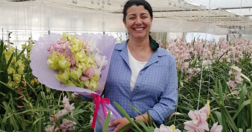 Matilde Codina González, fundadora de Orquídeas Biobío: “Chile tiene muchas ventajas para la producción de flores”
