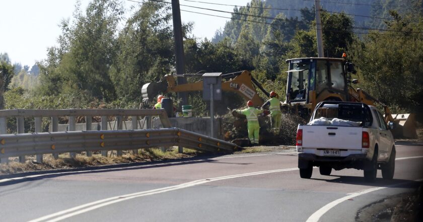 <strong>Tras la emergencia: consecuencias de los incendios forestales</strong>